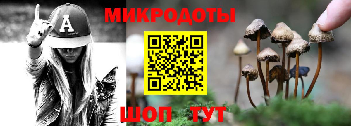 Галлюциногенные грибы мицелий  Вход с VPN  Ишим  Галлюциногенные грибы мицелий 