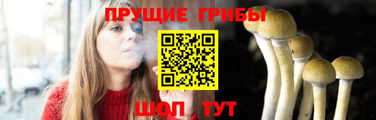 Псилоцибиновые грибы Magic Shrooms Ишим